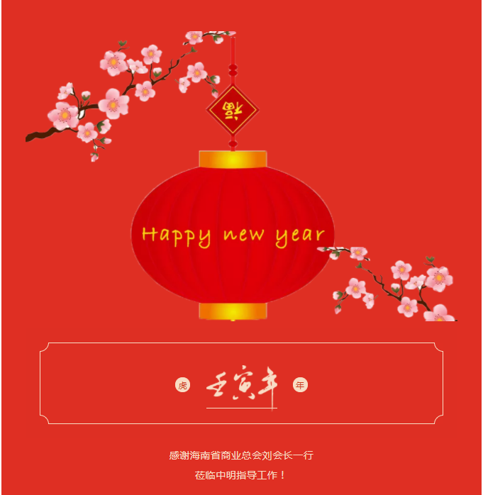 海南省商業(yè)總會劉會長一行蒞臨中明指導(dǎo)工作